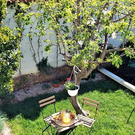 Apartamento Center