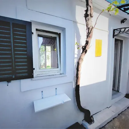 Center Apartment