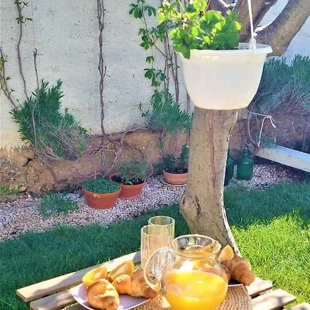 Apartamento Center Murter